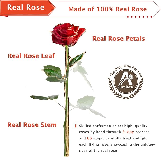 AliveRose Gold Dipped Rose,24k Gold Real Rose Gift for her, Long Stem Rose Made from Real Gold Rose for Anniversary Valentines Mothers Day Birthday (Pearl Purple with Crystal Vase)