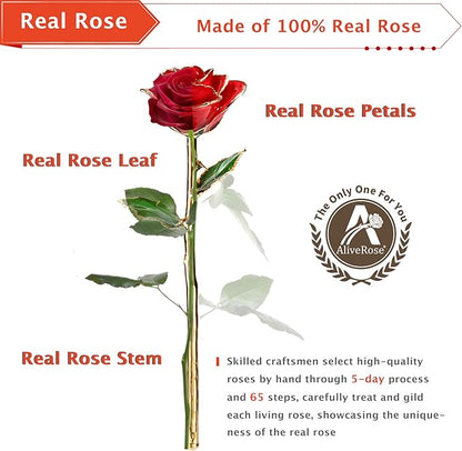 AliveRose 24k Gold Rose in Dipped,24k Gold Real Rose Gift for her, Long Stem Rose Made from Real Gold Rose for Anniversary Valentines Mothers Day Birthday (Deep Blue with Crystal Vase)