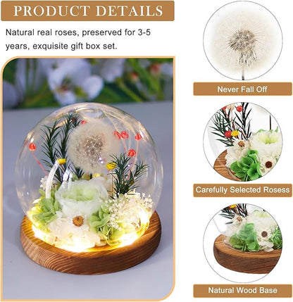 FIACO Gifts for Women Preserved Flower Forever Dandelion Rose in Glass Real Fresh Flowers for Delivery Prime Mothers Day Birthday Gifts for Mom Grandma Sister Wife Eternal Dandelion Flower Decor Green