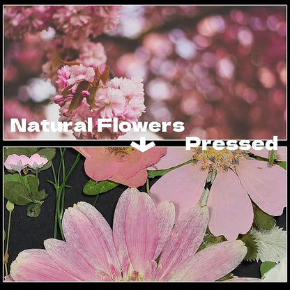CONVELIFE Pink Dried Pressed Flowers, Real Nature Flowers with Tweezers, Pressed Flowers for Resin DIY Jewelry Candle Soap Vase Making Nail Card Scrapbook Art Craft Floral Decors