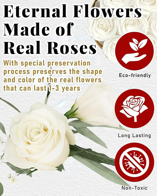Preserved Roses, Forever Flowers in Luxury Box Preserved Flowers for Delivery, Eternal Rose Flower Long-Lasting 2-3 Years, Anniversary Rose Forever Birthday Gifts for Women Mom