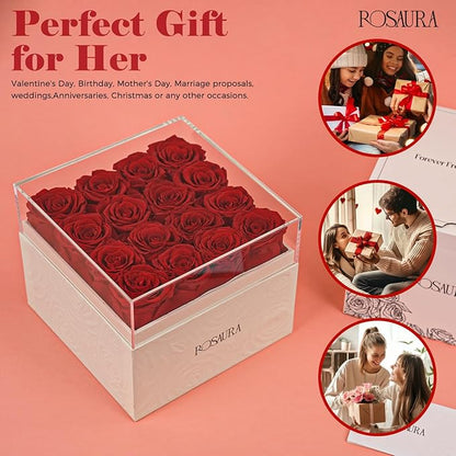 Rosaura Square Preserved Roses Gift Box - Real Forever Flowers in Clear Acrylic Lid, Valentine's for Women (red, 16 Roses)