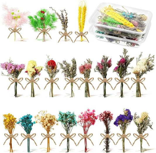 Chengu 20 Pcs Mini Dried Flowers Bouquets Natural Gypsophila Don't Forget Me Bouquets Dry Flower Leaves Dried Embossing Flower Plant Stem Bunch for Vase DIY Wedding Decoration Crafts Photo Props