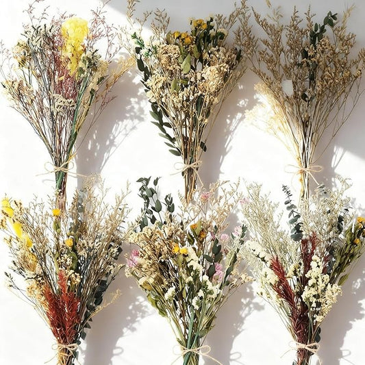 6 Pack Boho Dried Flowers Bouquet Large Size 15-17 Inch Wedding Handmade Dry Flowers Bundles for Vase Craft DIY Photo Boutonniere for Floral Plant for Bridesmaid Gift Birthday Decor (Classic)