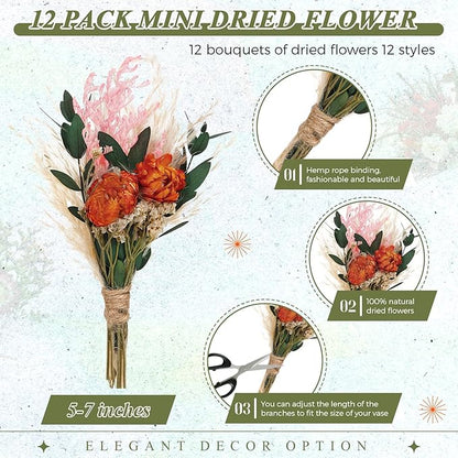 Layhit 12 Pack Boho Dried Flower Bouquet Mini Wedding Handmade Dry Flowers Decor for Vase Crafts DIY Photo Boutonniere for Men Floral Plant for Bridesmaid Gift Birthday Decor(African Daisy)