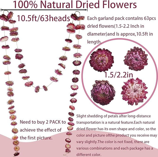 Dried Flowers Garland Real Daisy Sunflower Garlands 10.5ft 63 Pcs Natural Dried Daisy Flowers Heads Gerbera Daisies Dry Flower Arrangements for Wedding Boho Decor Home Party Wall Hanging