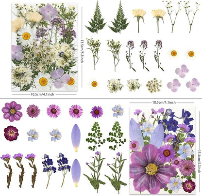 80 Pcs Dried Pressed Flowers for Crafts, Natural with Vibrant Colors & Various Shapes, Exquisite Arrangement for Resin, DIY, Jewelry, Candle & Soap Making – Tweezers Included