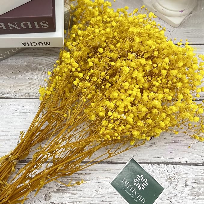 Preserved Baby's Breath, 100% Natrual Gypsophila Long Lasting Flowers for Vase Arrangements Home Decoration Photo Props Parties and Weddings, DIY Décor-Yellow