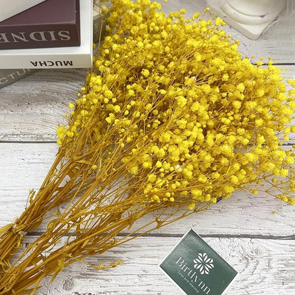 Preserved Baby's Breath, 100% Natrual Gypsophila Long Lasting Flowers for Vase Arrangements Home Decoration Photo Props Parties and Weddings, DIY Décor-Yellow