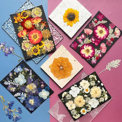 92Pcs Pressed Dried Flowers for Resin, Real Assorted Natural Bulk Dry Floral Leaves for DIY Art Crafts, Epoxy Molds, Jewelry, Soap, Candle Making, Nails Decors