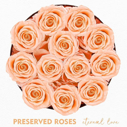 Forever Flowers,12 Roses in A Box, Real Preserved Flowers, Best Birthday, Wedding Gift for Her, Mom, Wife-Champagne Roses