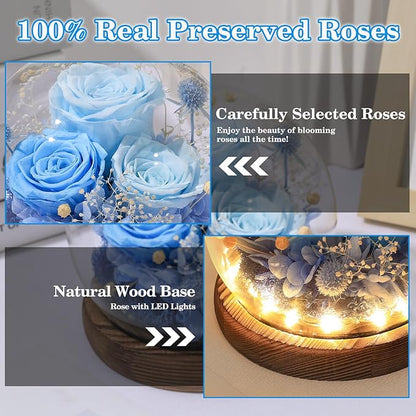 FIACO Valentines Gifts for Her Preserved Flowers in Glass Dome Long-Lasting Eternal Roses Birthday Gifts for Women Mom Grandma Wife Girlfriend Blue Forever Flowers for Delivery Prime