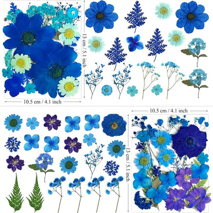 94Pcs Blue Dried Pressed Flowers for Resin Molds, Assorted Real Natural Bulk Dry Floral Leaves for DIY Art Crafts, Epoxy Jewelry, Candle, Soap Making, Nails Decors Gifts