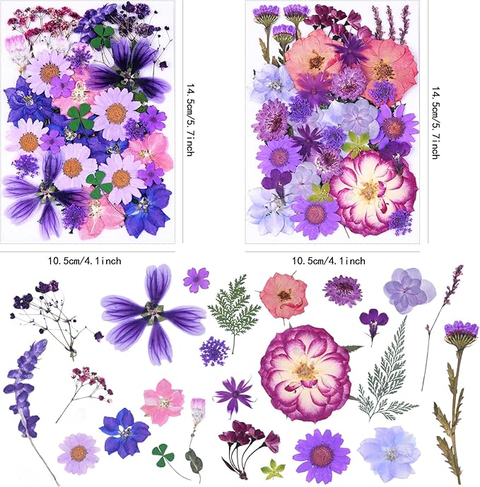 113Pcs Purple Dried Pressed Flowers for Crafts,Xinxinran Dry Flower Kit for Resin Molds,Epoxy Resin Accessories,Bookmark,Nails, Jewelry Molds,Candle Making Supplies,Soap,Frame,Cakes
