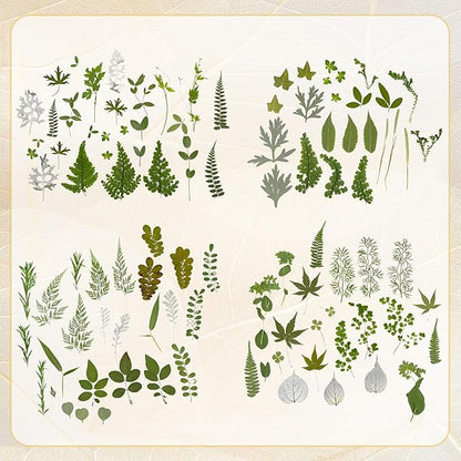 Augshy Pressed Dried Leaves Flowers, 100 Pcs Green Dried Flowers Leaves for Resin Molds Assorted Real Pressed Flowers for Crafts DIY Jewelry Molds, Scrapbooking, Candle