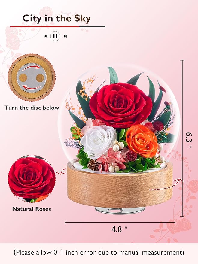 Eterfield Flowers for Delivery Prime, Christmas Preserved Roses Gifts for Women - Forever Flower in Glass Dome Birthday Gifts for Mom Wife Grandma Her Valentine’s Day (Red, Sphere)