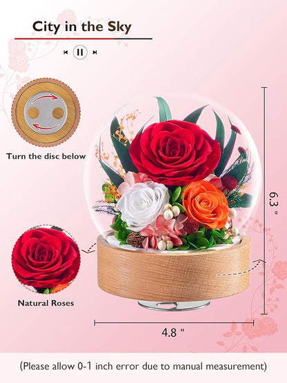 Eterfield Flowers for Delivery Prime, Christmas Preserved Roses Gifts for Women - Forever Flower in Glass Dome Birthday Gifts for Mom Wife Grandma Her Valentine’s Day (Red, Sphere)