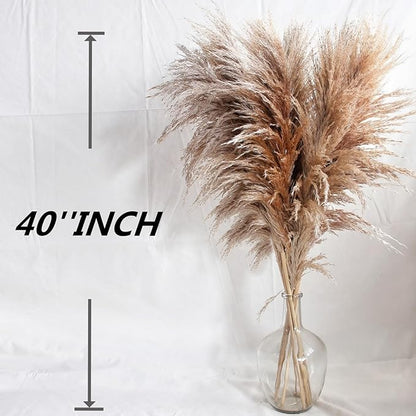 40" inch 10 Stems Pampas Grass Decor Tall, Pampas Grass Bouquet, Natural Dried Flowers for Wedding, Natural Home Decor, Wall Grass, Glam Decor