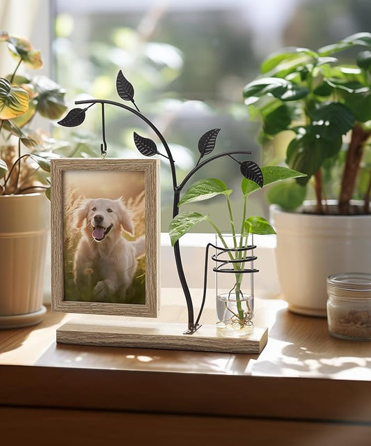 Afuly 4x6 Picture Frame Potted Plants Desk Photo Frames with Metal Stand Glass Vase, Rustic Double Sides Display Wood Frame Wedding Birthday Gifts for Couple Mom Grandma Women