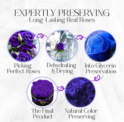 GLAMOUR BOUTIQUE Flowers Forever Gift Box 12 Real Preserved Roses in a Velvet Box, Birthday for Her Mom and Wife, Mothers Day, Anniversary, Graduation - Purple