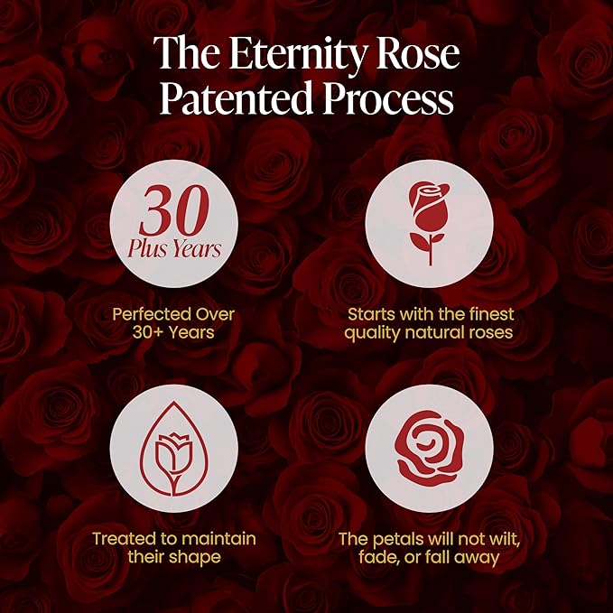 The Eternity Rose 20-Piece Preserved Roses in a Luxury Gift Box – Real Roses in White Heart Box – A Valentine’s Gift as Everlasting as Your Love
