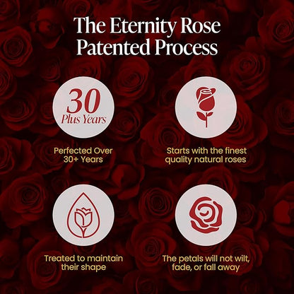 The Eternity Rose 20-Piece Preserved Roses in a Luxury Gift Box – Real Roses in White Heart Box – A Valentine’s Gift as Everlasting as Your Love