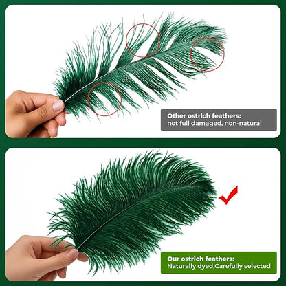 Piokio 20pcs Natural Blackish Green Ostrich Feathers 10-12 inch (25-30cm) Bulk Feathers for Home Decoration and DIY Clothing and DIY Clothes Decoration, Gatsby Decorations