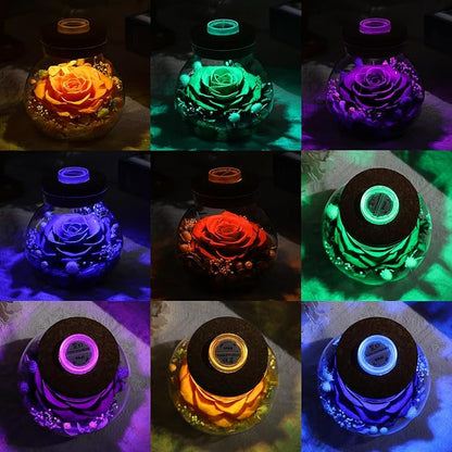 Christmas Birthday Gifts for Women Mom Preserved Rose Eternal Forever Flower in Glass Wishing Bottle with Colorful LED Light Flowers for Delivery Prime for Grandma Wife Sister Friend from Daughter Red