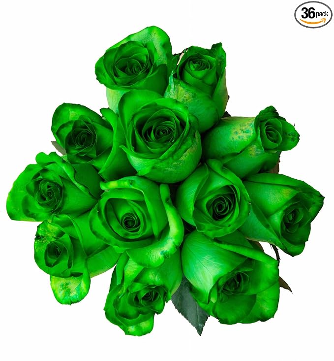 36 Stems - Fresh Cut Tinted Green Roses from Flower Explosion