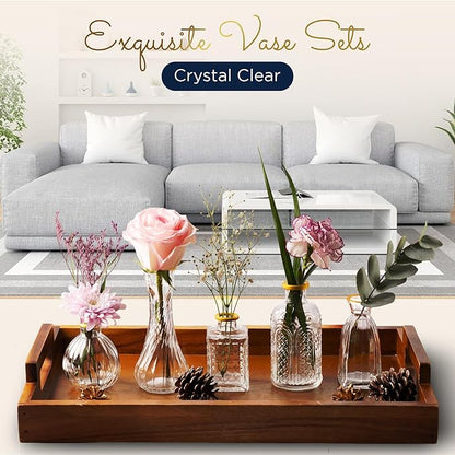 Luxury Glass Bud Vase Set of 5 – Hand Painted Gold Rim Mini Vases, Elegant Small Glass Vases for Centerpieces, Vintage Clear Flower Vases for Wedding, Table, Home & Party Décor