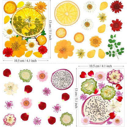 75Pcs Pressed Dried Flowers Fruits for Resin Molds, Real Natural Bulk Assorted Dry Floral Leave for DIY Art Crafts, Epoxy Jewelry, Candle, Soap Making, Nails Decors Gifts