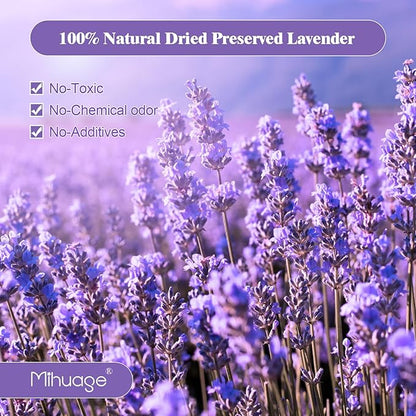 Dried Preserved Lavender Flowers - 2 Bundles with 3.5oz for Home Decor, DIY Arrangements, Photo Props, & Fragrance - 15"-17", Purple Lavender Bunches.