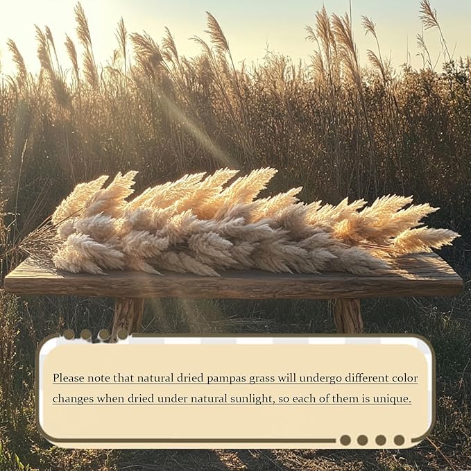20 Stems Natural Pampas Grass Decor 40" Tall Dreid Pampas Grass for Wedding, Party, Farmhouse, Brown Dreid Flowers Boho Home Decor