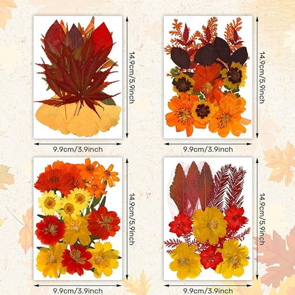 Augshy Fall Dried Pressed Flowers Orange Pressed Fall Leaves for Crafts Resin Molds Real Red Brown Yellow Pressed Leaves for Scrapbooking, Epoxy Resin Supplies