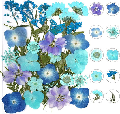 30Pcs Dried Pressed Natural Flowers for Resin Molds Real Pressed Flowers Dry Leaves Bulk Natural Herbs Kit for DIY Scrapbooking Art Crafts Jewelry Molds Candle Soap Making Nails Decor (Blue)