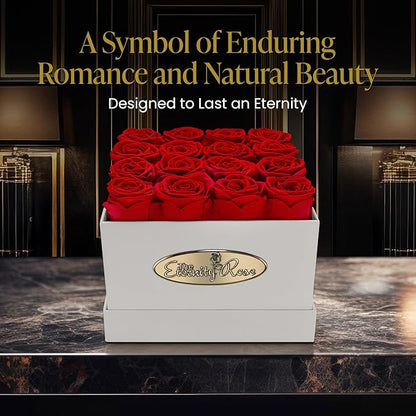The Eternity Rose 16-Piece Preserved Roses in a Luxury Gift Box – Real Roses in Square White Box – A Valentine’s Gift as Everlasting as Your Love