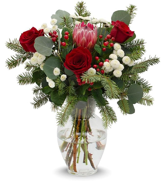 Stargazer Barn - Holiday Cheer Bouquet (Includes Glass Vase) - Fresh Flowers for Delivery - Gift for Anniversary, Birthday, Congratulations, Get Well, Graduation, Sympathy, Christmas