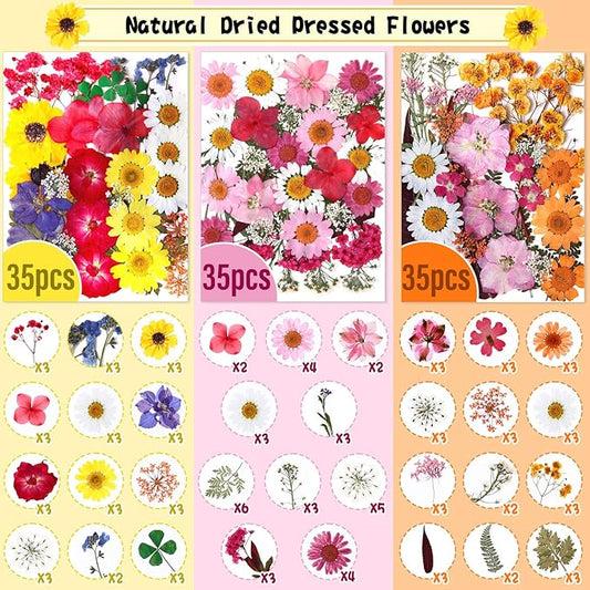 Nuanchu 167 Pcs Real Dried Pressed Flowers Natural Dried Flowers Colorful Daisy Mixed Wildflowers Leave for DIY Candle Resin Nails Jewelry Pendant Crafts Floral Art(Bright Color)