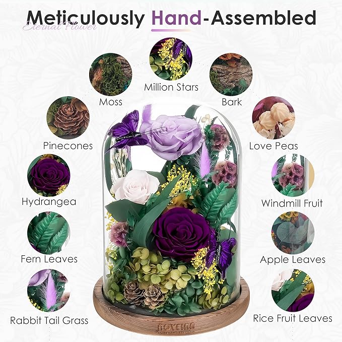 NOVEINN Preserved Flowers in Glass Dome - Eternal Rose Arrangement with Real Preserved Plants, Romantic Forever Rose Gift for Women - Anniversary, Birthday, Mother’s Day, Home Decor(Purple)