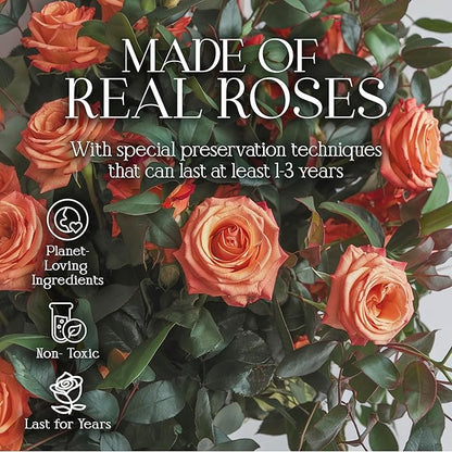 GLAMOUR BOUTIQUE Preserved Roses in a Box - Gifts for Her, Wife & Mom, Rose Flowers Forever Decor for Birthday Gift, Get Well Flower Bouquet Cased in White Box with Cover - Orange - 16-Piece