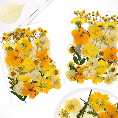 30Pcs Dried Pressed Natural Flowers for Resin Molds Real Pressed Flowers Dry Leaves Bulk Natural Herbs Kit for DIY Scrapbooking Art Crafts Jewelry Molds Candle Soap Making Nails Decor (Yellow)