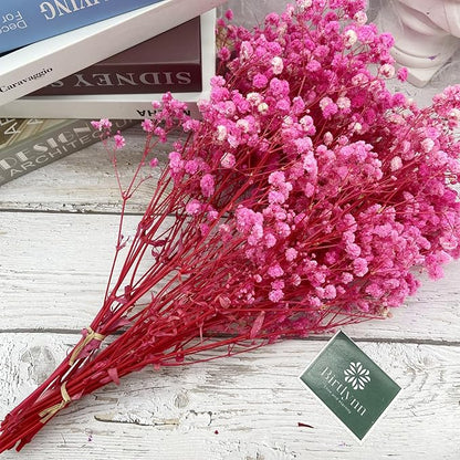 Birtlynn Preserved Baby's Breath, 100% Natrual Gypsophila Long Lasting Flowers for Vase Arrangements Home Decoration Photo Props Parties and Weddings, DIY Décor-Pink