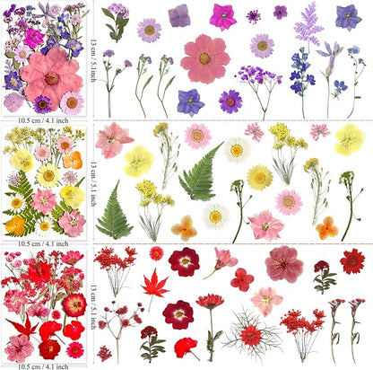 182Pcs Dried Pressed Flowers for Resin Molds, Assorted Real Natural Bulk Dry Floral Leaves for DIY Art Crafts, Epoxy Jewelry, Candle, Soap Making, Nails Decors Gifts