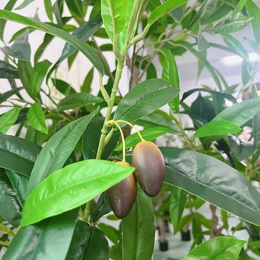 Olive Tree 7.5ft New Large Fruit, New Large Leaves - Artificial Tree, Fake Tree & Faux Tree with Sturdy Base for Indoor Outdoor Office Decor