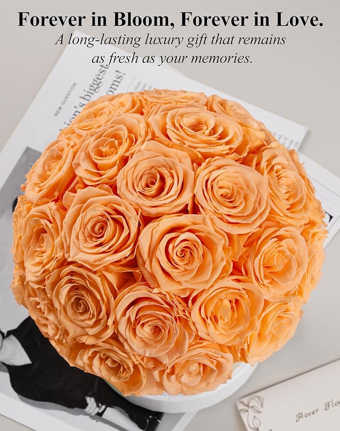 27 Forever Roses Dome in White Box, Eternal Real Roses Gifts for Women, Preserved Flowers for Delivery Prime, Anniversary, Valentine's Day, Christmas, Birthday for Her (Champagne)