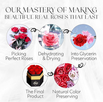 GLAMOUR BOUTIQUE Eternal Preserved Roses in a Box - Flowers Forever, Rose Forever in a Box for Wife, Birthday Gifts for Her, 7 Roses, Red
