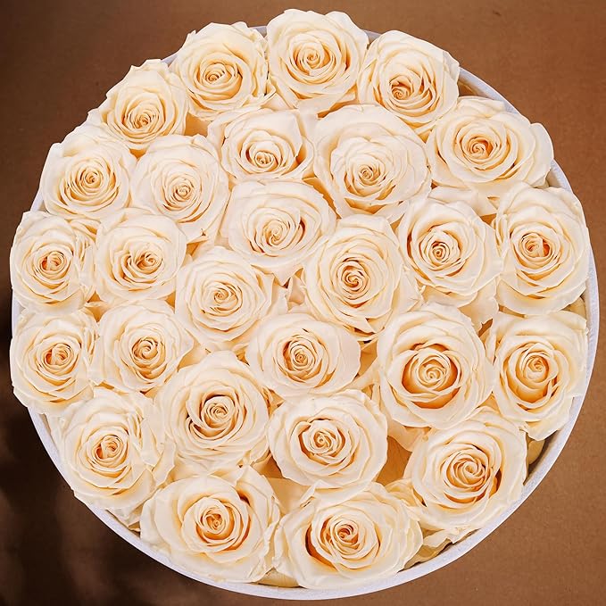 27 Flowers in a Luxury Suede Box, Birthday Gifts for Women, Preserved Flowers, Mothers Day Roses Gift for Mom, Champagne