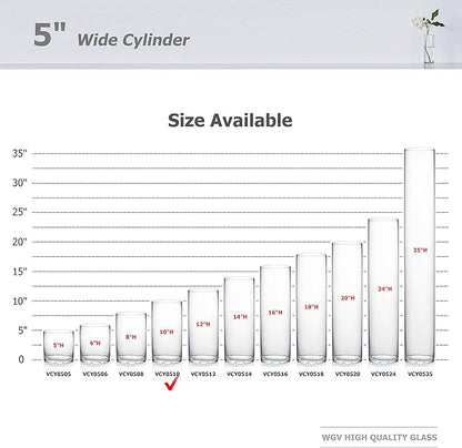 WGV Cylinder Vase, Diameter 5", Height 10", Clear Glass Floral Planter Container, Floating Candle Holder for Wedding Party Event Home Office Decor, 1 Piece