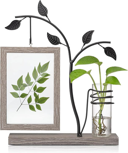 Afuly 4x6 Picture Frame Family Picture Frames with Glass Bud Vase for Plants Flowers, Rustic Floating Frame with Double Glass Tabletop Display Anniversary Wedding Mothers Day Birthday Gifts