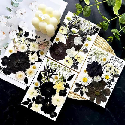 95 Pcs Black Pressed Dried Flowers for Resin, Real Natural Bulk Dry Wildflowers Leaves Perfect for Epoxy Molds, DIY Crafts, Soap Candles Jewelry Making, and Home Decor